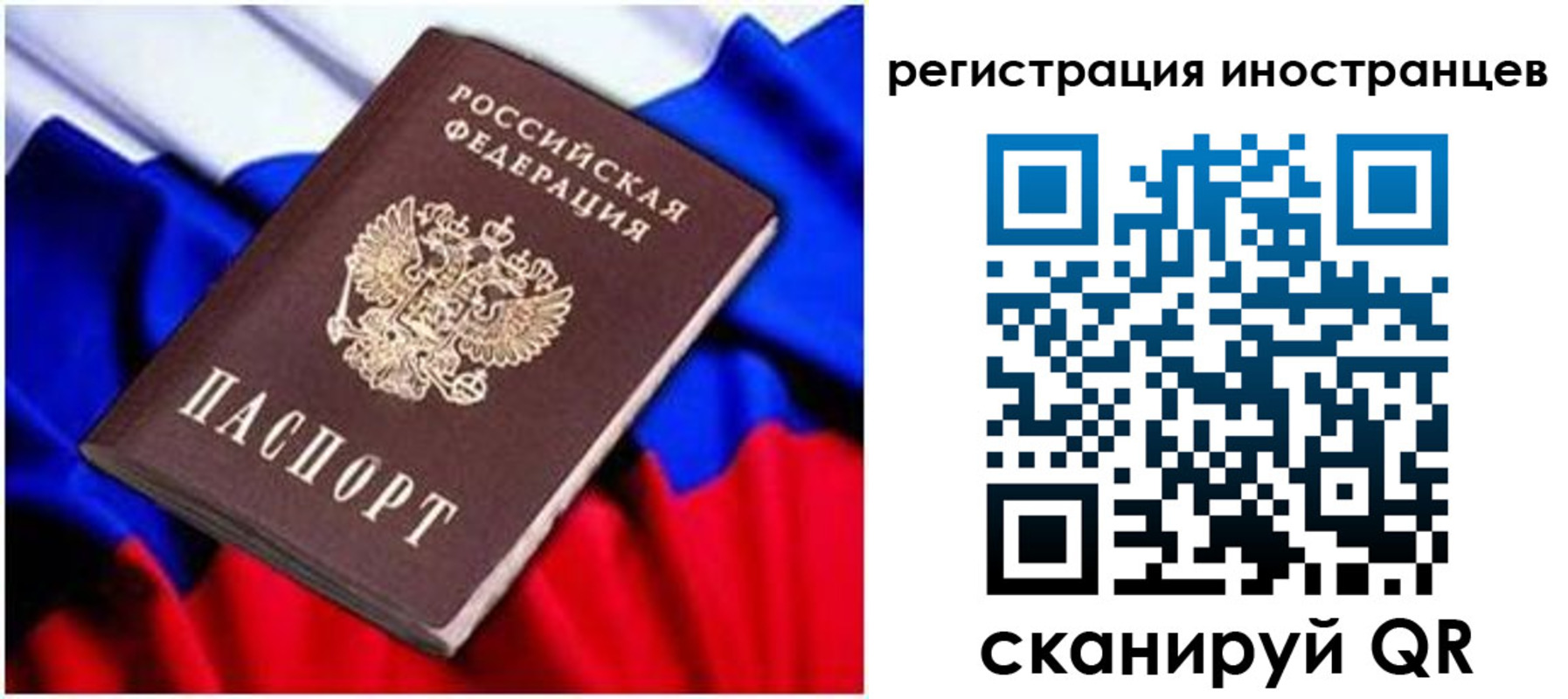 прописка для школы в Камышлове